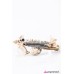 Fly High White Bracelet