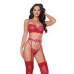 Holiday Metallic Stretch Lace Underwire Bra, Garter Belt & G-string Red/silver Sm