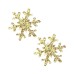 Neva Nude Pasties Snowflake Glitter Gold